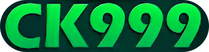 bdck999.com Logo